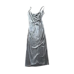 Vintage Velvet Silver Dresss